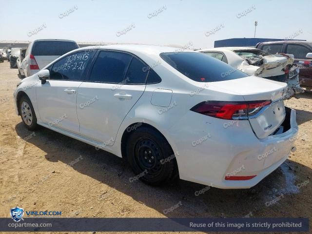 Auction photo