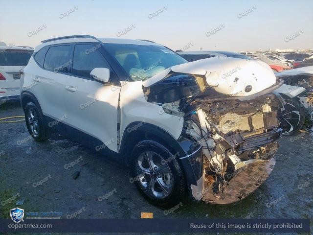 Auction photo