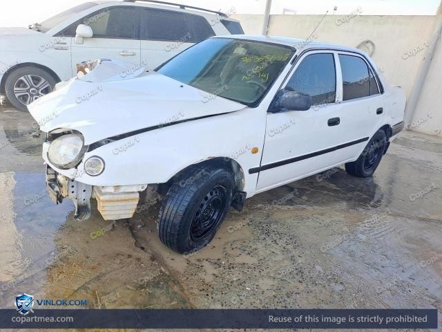 Auction photo