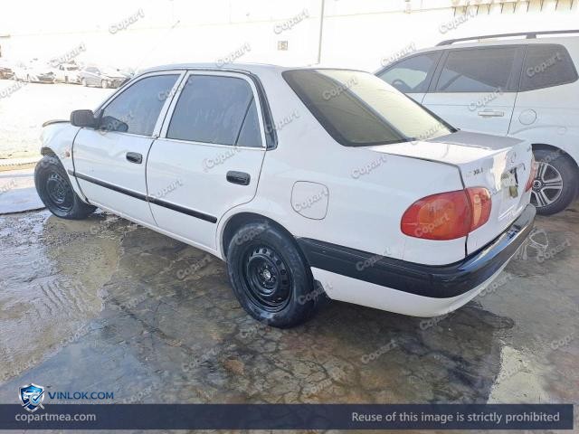 Auction photo