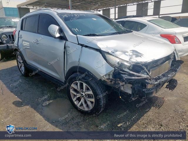 Auction photo