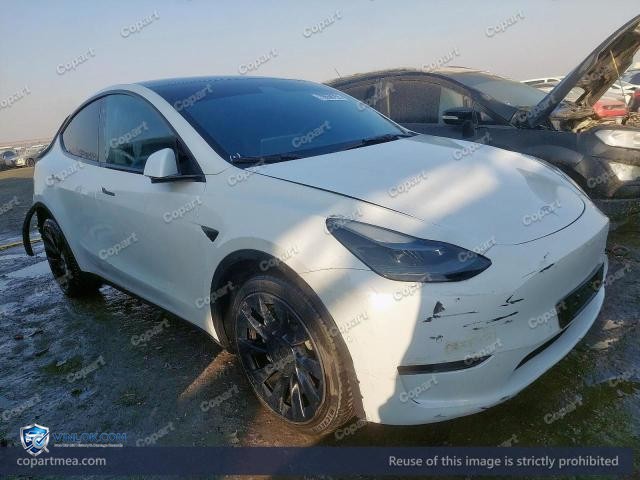 Auction photo