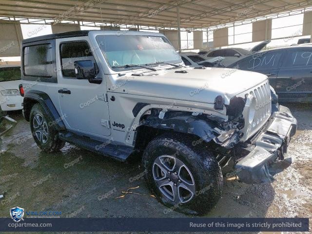 Auction photo