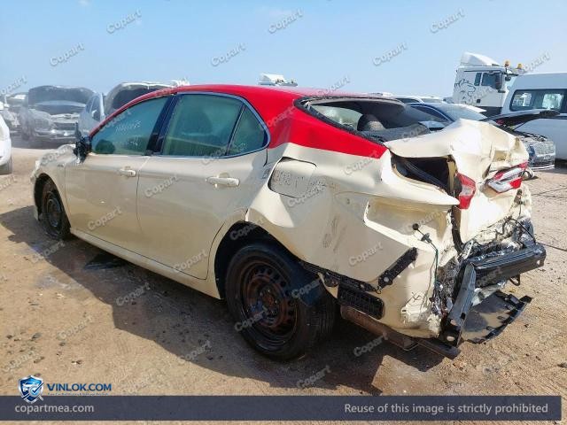 Auction photo