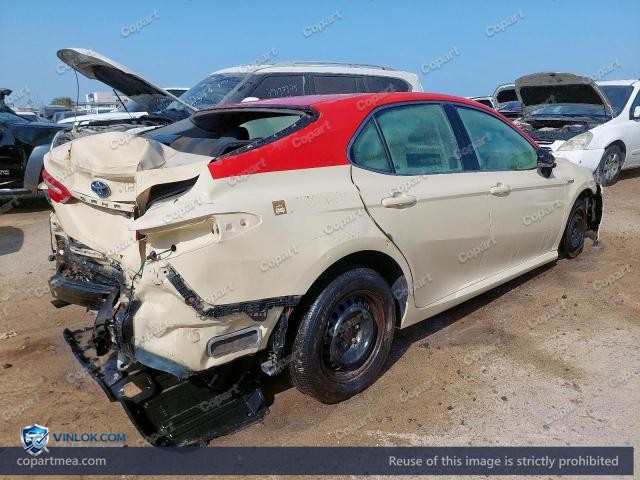 Auction photo