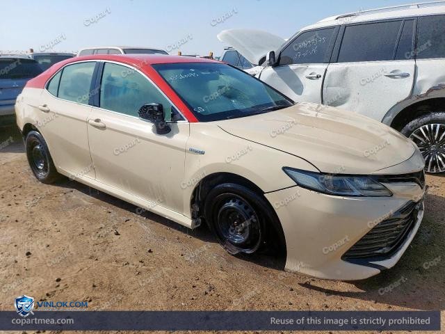 Auction photo