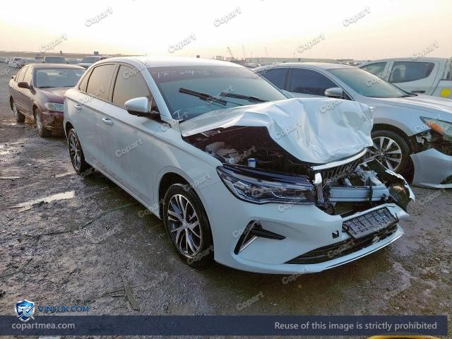 Auction photo