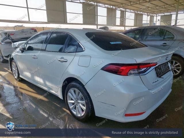 Auction photo