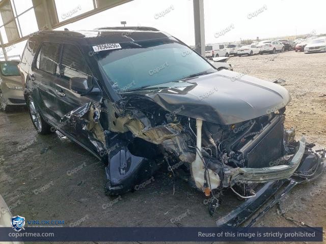 Auction photo