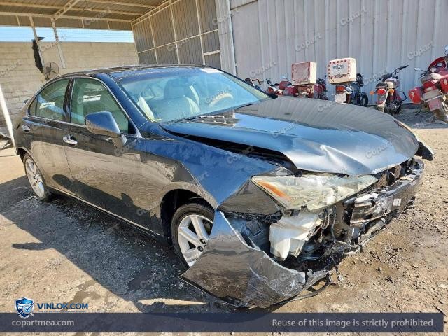Auction photo