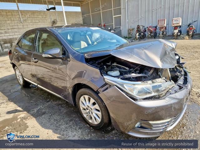 Auction photo