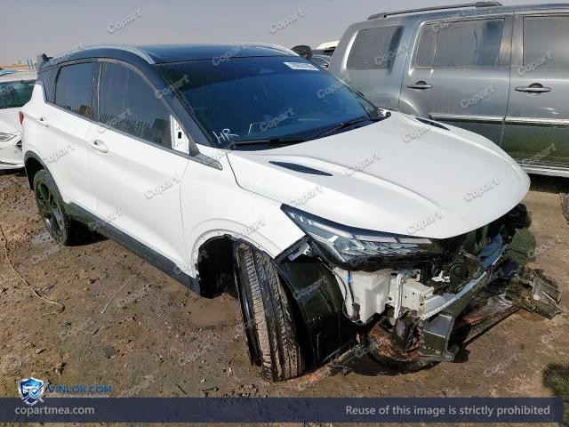 2024 GEEA COOLRAY — Lot 78935165 auction photo