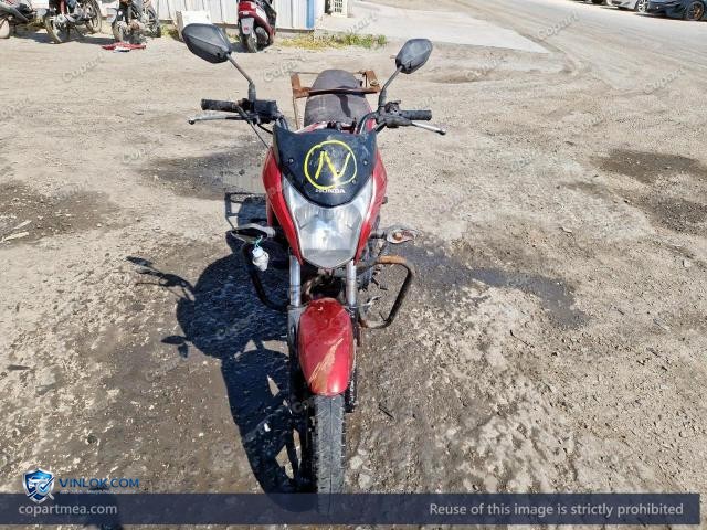 Auction photo
