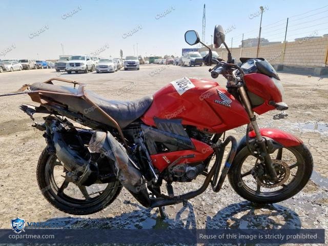 Auction photo