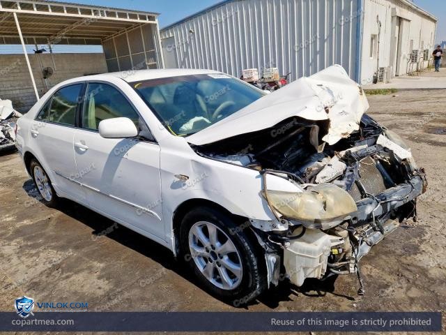 Auction photo