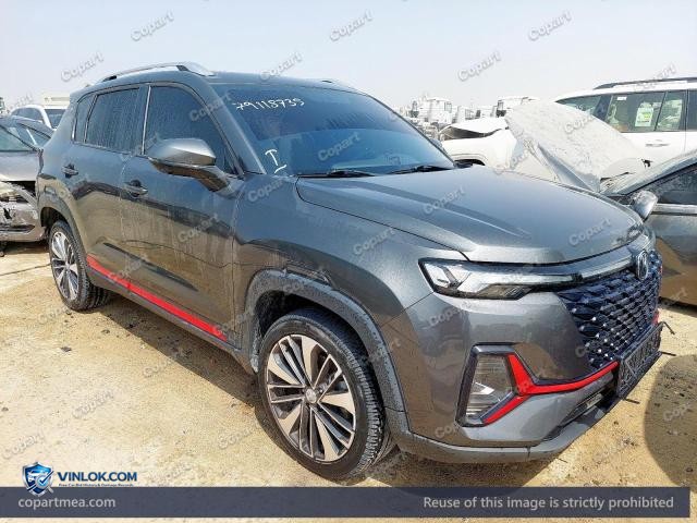 2024 CHAN CS35 PLUS — Lot 79118735 auction photo