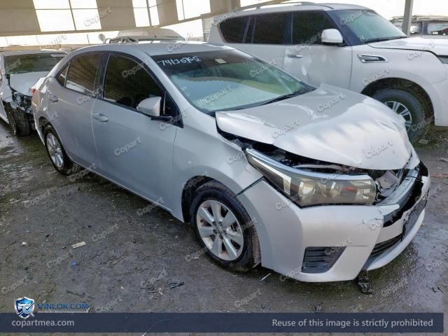 Auction photo