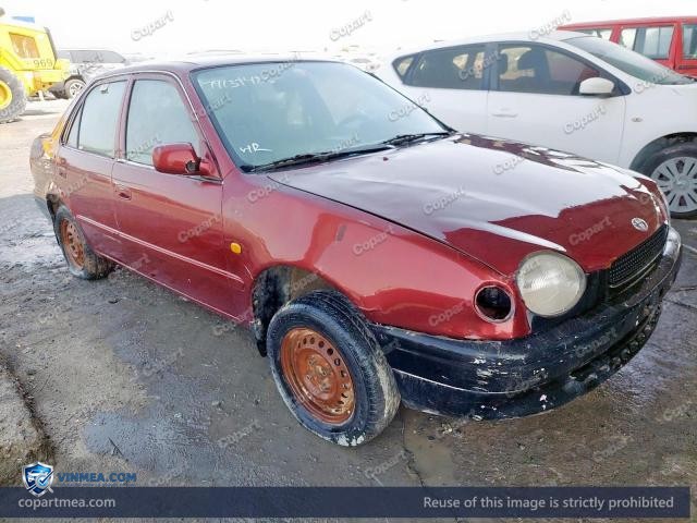 Auction photo