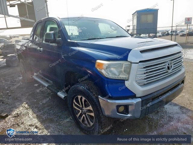 Auction photo