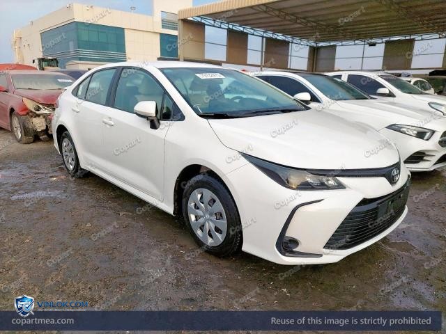 Auction photo