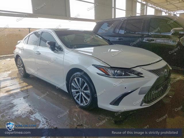 Auction photo