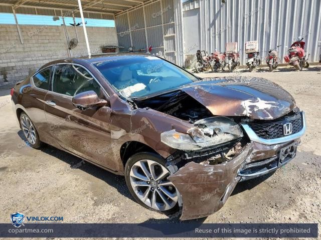 Auction photo