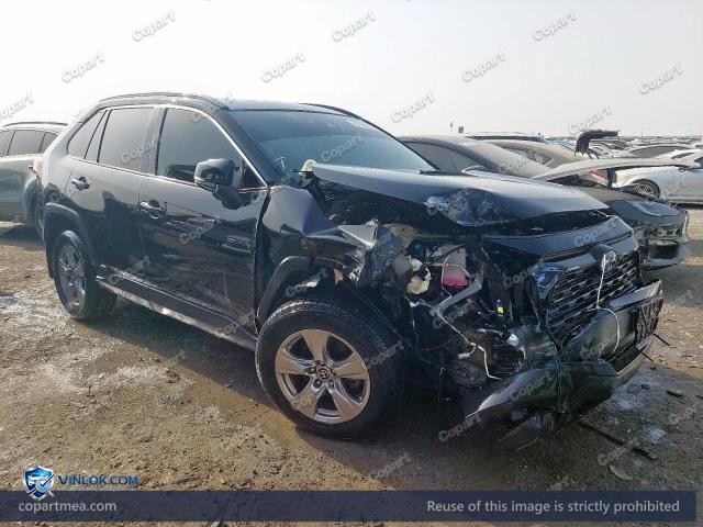 Auction photo