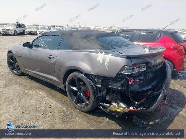 Auction photo