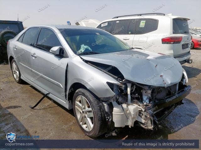 Auction photo