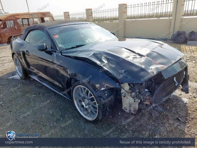 Auction photo