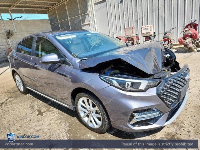 2024 CHER ARRIZO 6 — Lot 79142535 auction photo