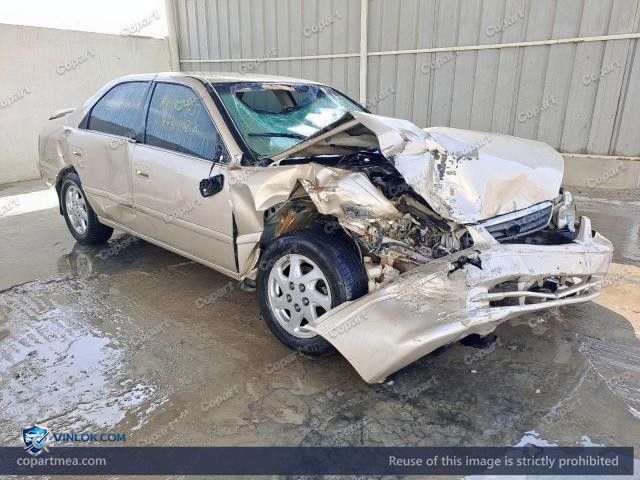 Auction photo