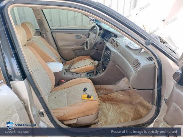 Auction photo