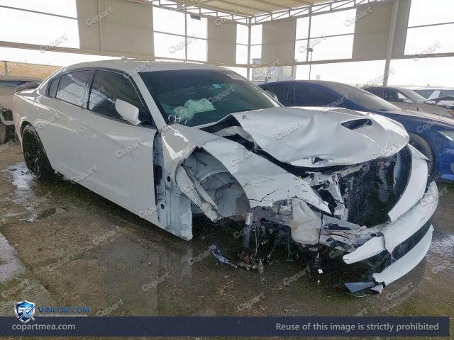 Auction photo