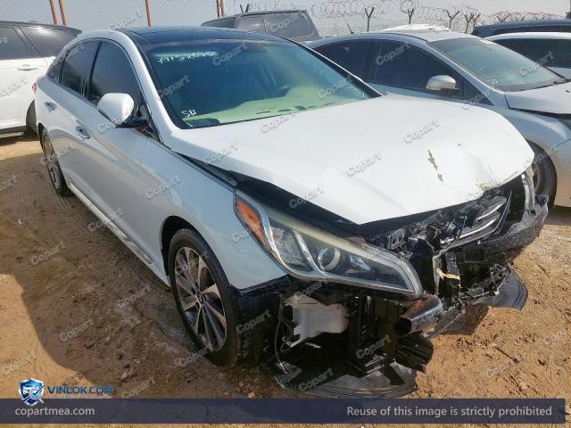 Auction photo