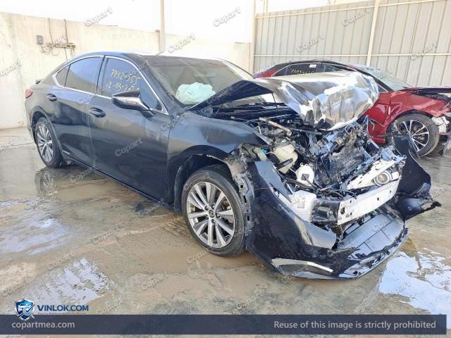 Auction photo