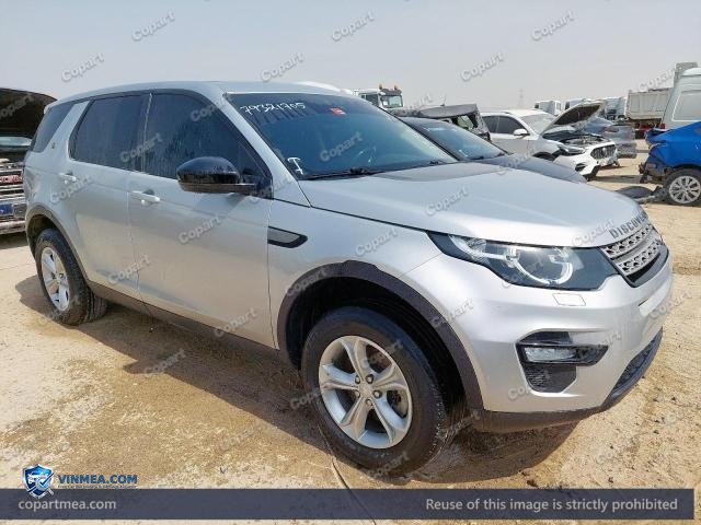 Auction photo
