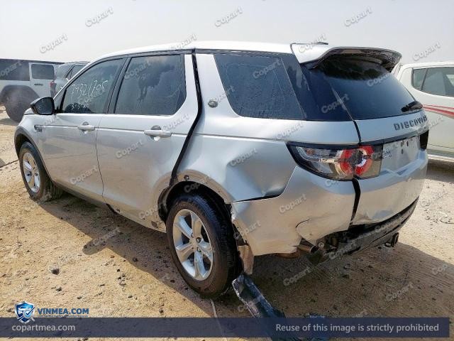 Auction photo