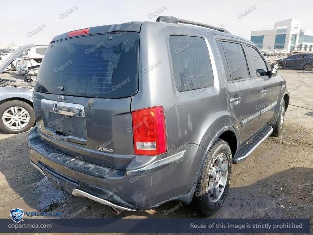 Auction photo