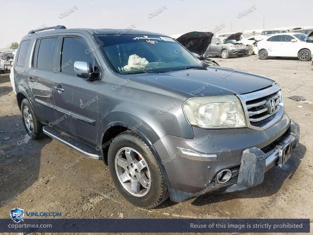 Auction photo