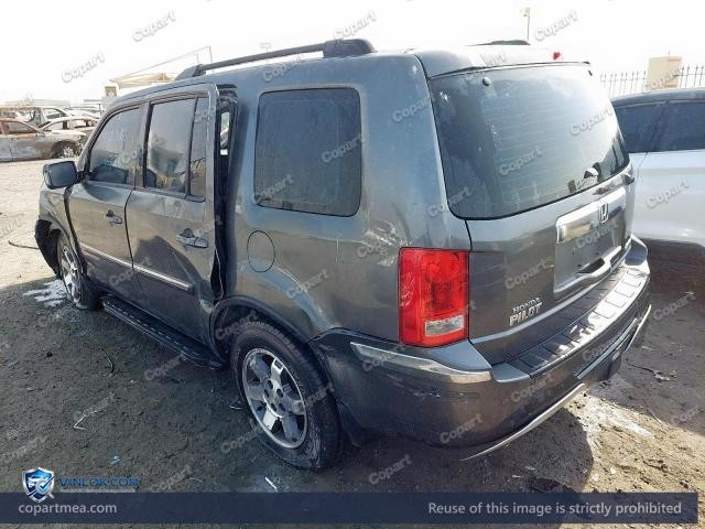 Auction photo