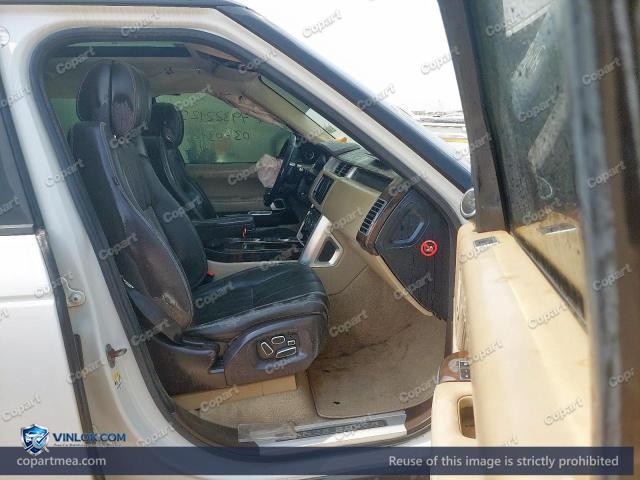 Auction photo