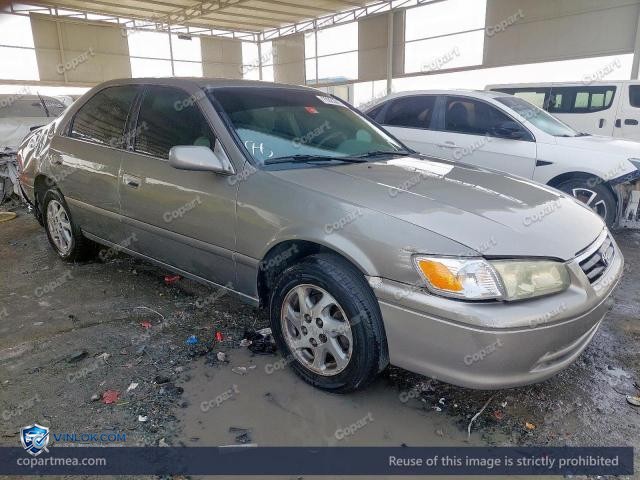 Auction photo