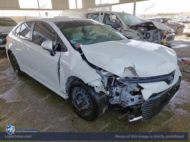 Auction photo