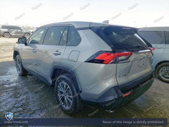 Auction photo