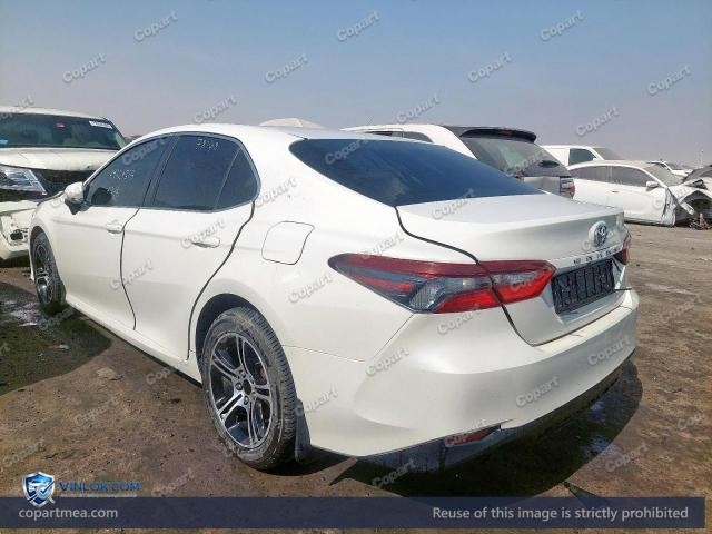 Auction photo