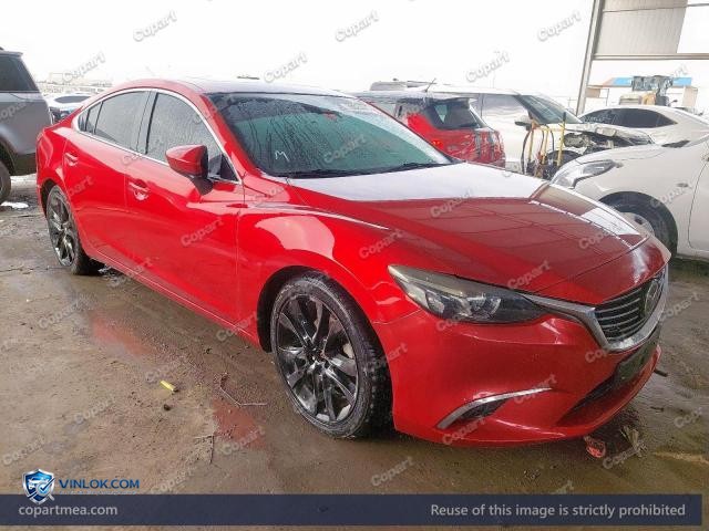 Auction photo