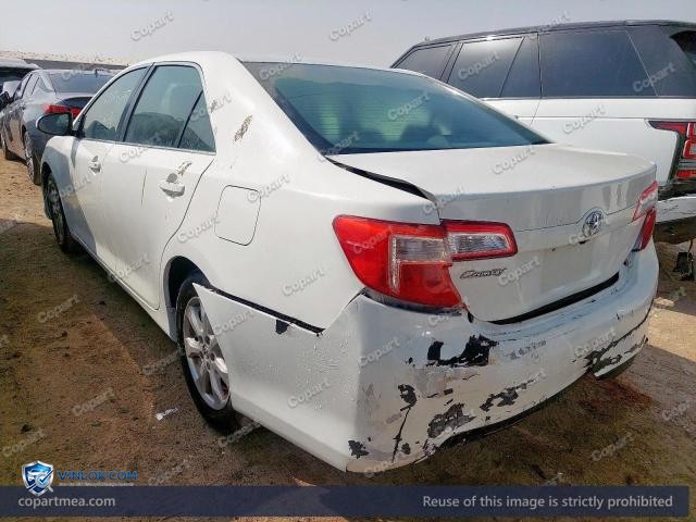 Auction photo