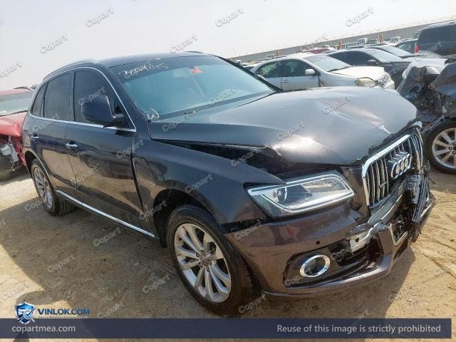 Auction photo