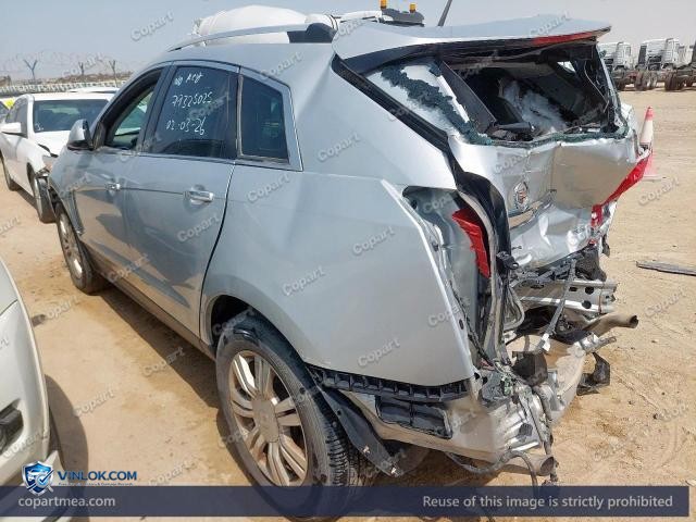 Auction photo